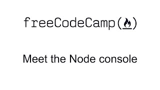 Meet the Node console - Basic Node And Express - Free Code Camp