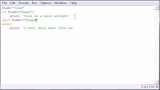 Python Programming Tutorial - 21 - else and elif