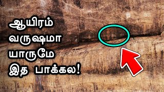 கோடில ஒருத்தர் கண்ணுக்கு தான் இது தெரியும்! மலை உச்சியில் மலைக்க வைக்கும் மர்மங்கள்?| பிரவீன் மோகன்