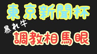 2021年【東京新聞杯】暴れ牛の調教相馬眼