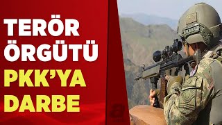 Bitlis'te 2 PKK'lı terörist etkisiz hale getirildi! Teröristlerden biri gri kategoride yer alıyordu
