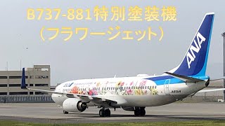 岩国空港ANA B737-881特別塗装機（フラワージェット）