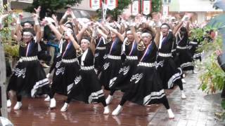 名古屋学生チーム「鯱」さん　ふれあいモール会場　第12回四日市よさこい祭り2016.11.27