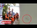 Perhilitan Sahkan Ada Buaya Di Tasik Kiambang #MGFlash