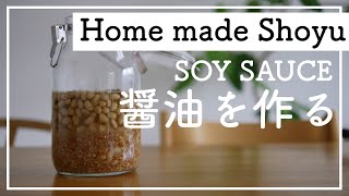 【醤油の作り方】How to make Shoyu ＆ Koji for homemade soy sauce