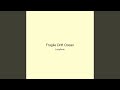 Fragile Drift Ocean
