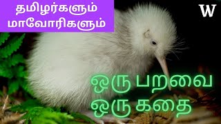 ஒரு பறவை ஒரு குட்டி கதை | KIWI birds with motivational short story | Tamilan and Maori people