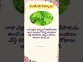 వంటింటిచిట్కాలు kitchentips cookingtips tips shorts viral @shrisistersmom