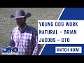 Young Dog Work Natural - Brian Jacobs - DTO