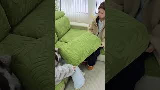 #sofa #sofabed #home #homedecor #sofacoversonline #sofaset #sofacover #smartgadgets #shortvid