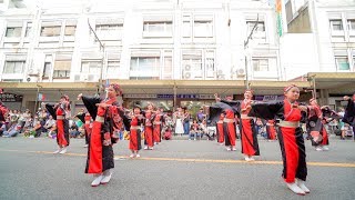 [4K] 六花　ザ・まつり in Izumisano 2019