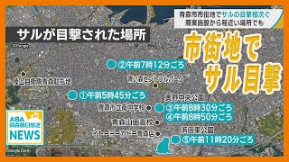 青森市の市街地でサルの目撃相次ぐ　商業施設から程近い場所でも　登下校の子どもたちにも注意呼び掛け