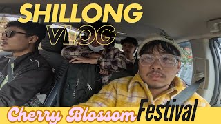 Shillong Cherry Blossom 🌸 festival | @GHillsFinest @RiozerTR @SnamRangsa