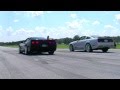 Corvette C5 Z06 vs. Saleen Mustang