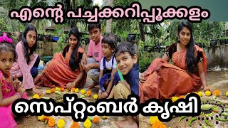 സെപ്റ്റംബർ കൃഷി. എന്റെ പച്ചക്കറിപ്പൂക്കളം|September month krishi video|