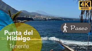 Tenerife - Punta del Hidalgo 🌊🏔️🏝️🏊