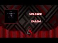 velsser salem 🎶🔥 visualizer