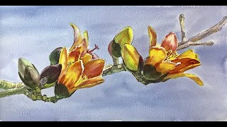 水彩画 - watercolor painting -Aquarelle -  flower  painting - flower drawing - 木棉花