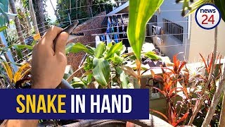 WATCH | Durban home owner finds second mamba in under 3 months