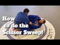 BJJ for Beginners: How to do the Scissor Sweep in Brazilian Jiu Jitsu (2020 Tutorial)