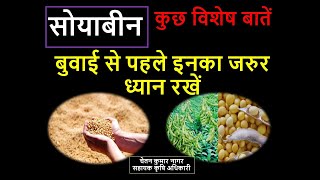 सोयबीन,अधिकतम उत्पादन के लिए,कैसा होना चाहिए बीज (About Seeds to get max. yield of soyabeen)