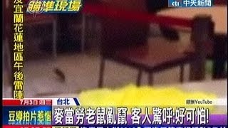 中天新聞》麥當勞老鼠亂竄 客人驚呼：好可怕！