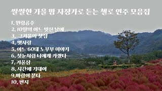 [Playlist] 쌀쌀한 가을 밤 자장가로 듣는 첼로 연주 모음집 (cello music)