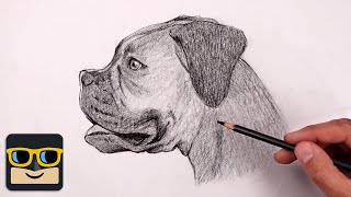 How To Draw a Dog | Boxer Sketch Tutorial