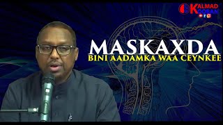 Maskaxda bini aadamka |  Maxay qabataa? | imisaa buug ayay qaadaa | sheekh mustafe x ismaaciil