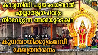 കാര്യസിദ്ധിപൂജചെയ്താൽ എല്ലാആഗ്രഹവും നിറവേറ്റുന്ന അമ്മയുടെകഥ| History Of Koonambaikulam Temple