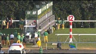 H25 第58回 京阪杯 (GIII) / アースソニック M.デムーロ 【競馬】