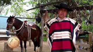 Arregladores de Caballos Chilenos