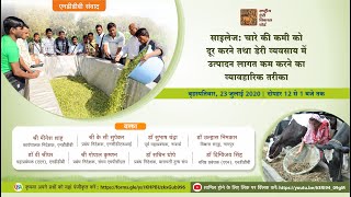 NDDB Samvad: Silage making - Tackle fodder deficit and optimize production costs in dairying (Hindi)