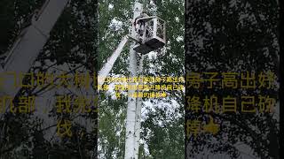 參天大樹我先生自己用升降機一段段的鋸斷，這樣不會砸到房子，因為距離房子太近了 #北欧田園生活