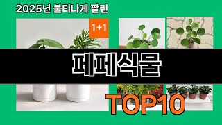 페페식물 2025 최강 쿠팡로켓배송 추천 Top 5