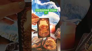 Род говорит тебе #111 #таро #tarot #999