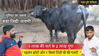 दुनिया का सबसे बड़ा जिद्दी आदमी, पहलन झोटी और 1kg टिंडी घी की गारंटी || SUBHASH GADHI, SONIPAT