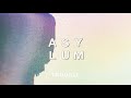 A R I Z O N A - Trouble [Official Audio]