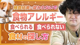 【 犬猫の食物アレルギー 】食べられる食材と食べられない食材の探し方