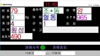 예천축산농협 6월 3일 경매가축시장