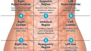 Abdominal pain#Where does it hurts #Pain locator#