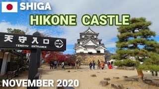 【滋賀】彦根城観光と周辺ドライブ 紅葉2020 Hikone Castle Walk \u0026 Drive in Shiga Japan