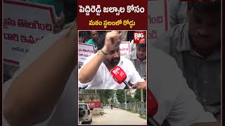 పెద్దిరెడ్డి జల్సాల కోసం మఠం స్థలంలో రోడ్డు | Kiran royal Fires on Peddireddy  | Janasena | BIGTV