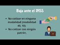 requisitos para pensionarse imss ley 73