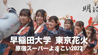 早稲田大学よさこいチーム東京花火 2023年原宿表参道元気祭スーパーよさこい