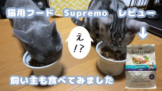 【子猫から成猫へ】フード切替は避妊・去勢手術後から（大まかな目安です）