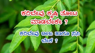 ಕರಿಬೇವು ಕೃಷಿ ತೋಟ ಮಾಡಬೇಕೆ ? | Bhimanna (Farmer ) | Annesh Srisai