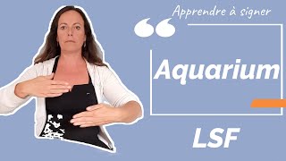 Signer AQUARIUM en LSF (Langue des Signes Française). Apprendre la LSF par configuration