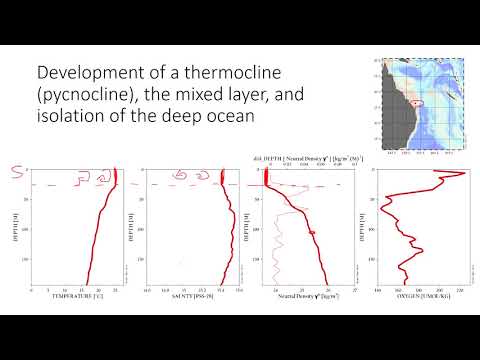 What causes the surface water to sink and from deep water in polar areas?