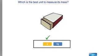 Which Unit of Measurement